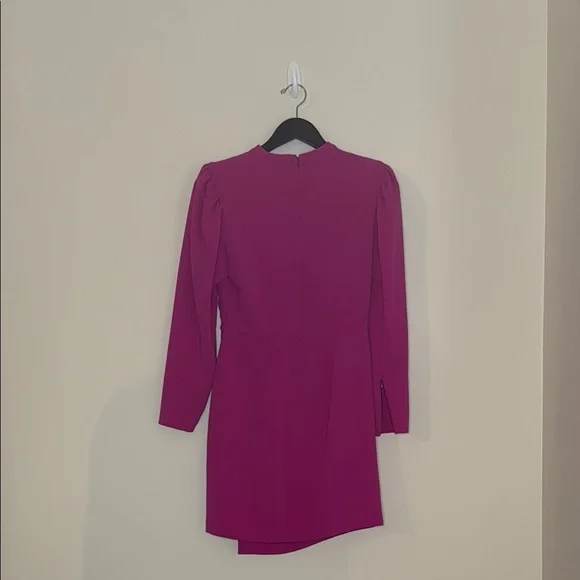 ALC Elegant Pink Dress - Picture 5 of 5